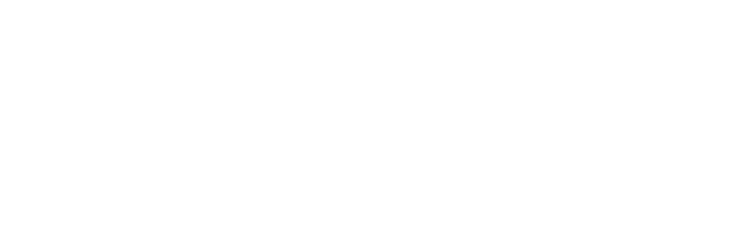 Dra Bianca Logo Branca