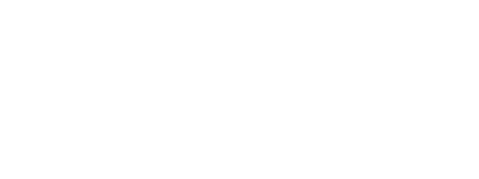 Logo-Molina